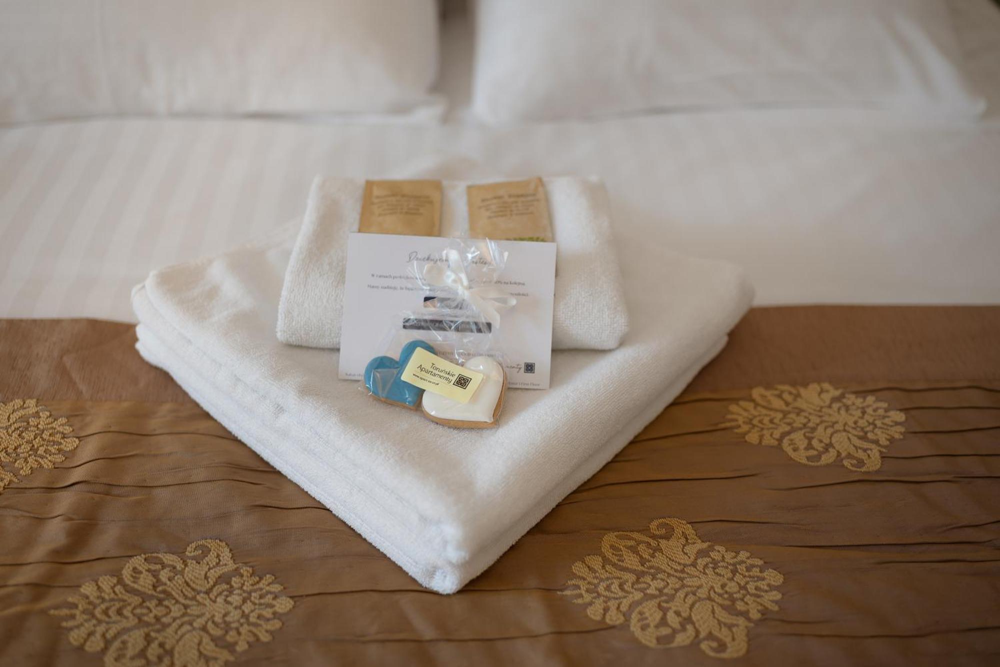 Secesja Prosta 10 - Apartament Teatralny Apartment Torun Ngoại thất bức ảnh